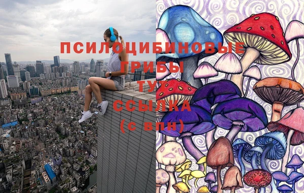 герыч Верея