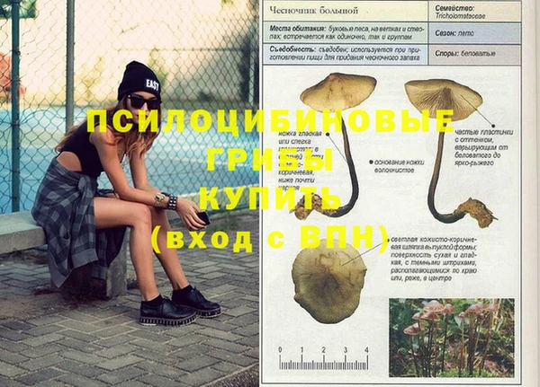 шишки Володарск