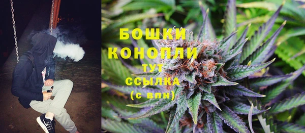 винт Костерёво