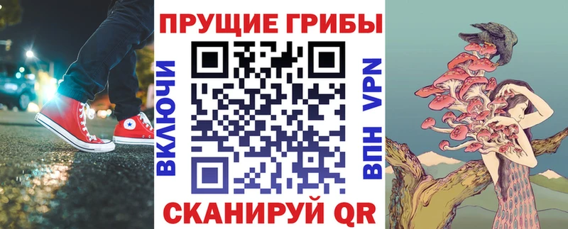 цены   МЕГА ссылки  Галлюциногенные грибы прущие грибы  Выкса 
